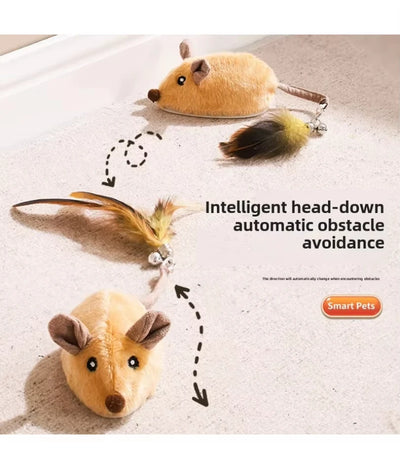 Automatische Sensor-Maus Katzenspielzeug – Ferngesteuert, USB-Aufladbar
